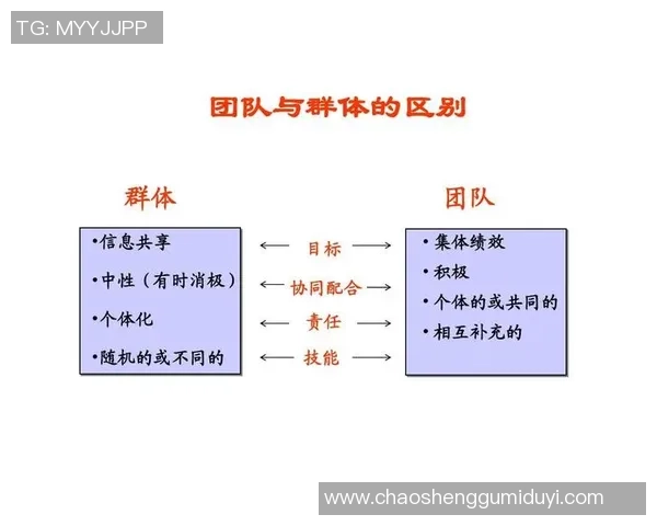 杭州乒乓球队个人能力提升之路与团队协作的完美结合