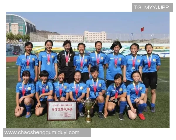 辽宁省足球明星的崛起与发展历程探讨 辽宁省足球明星的崛起与发展历程探讨