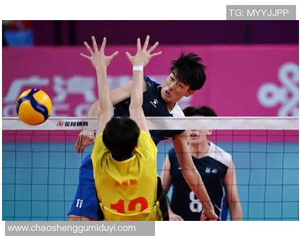 最新排球战术TOP10：武汉排球队领跑