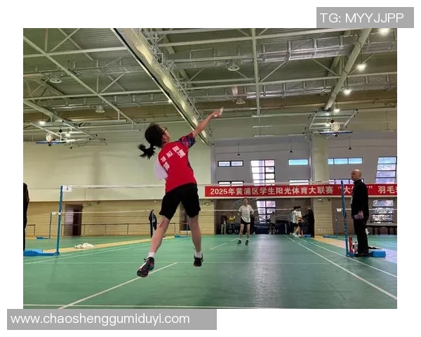 羽毛球战术：深圳羽毛球队的运营体系