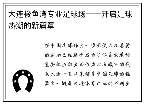 大连梭鱼湾专业足球场——开启足球热潮的新篇章