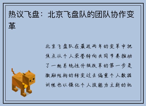 热议飞盘：北京飞盘队的团队协作变革