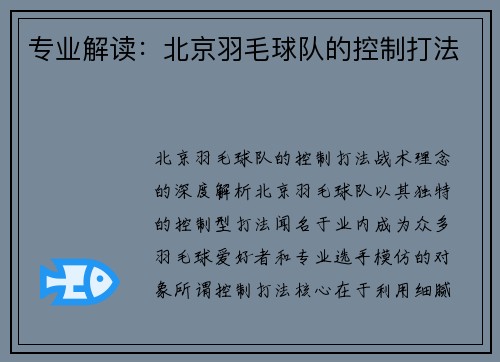 专业解读：北京羽毛球队的控制打法