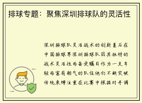 排球专题：聚焦深圳排球队的灵活性
